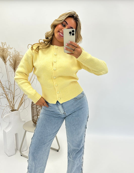 Jennifer trui geel